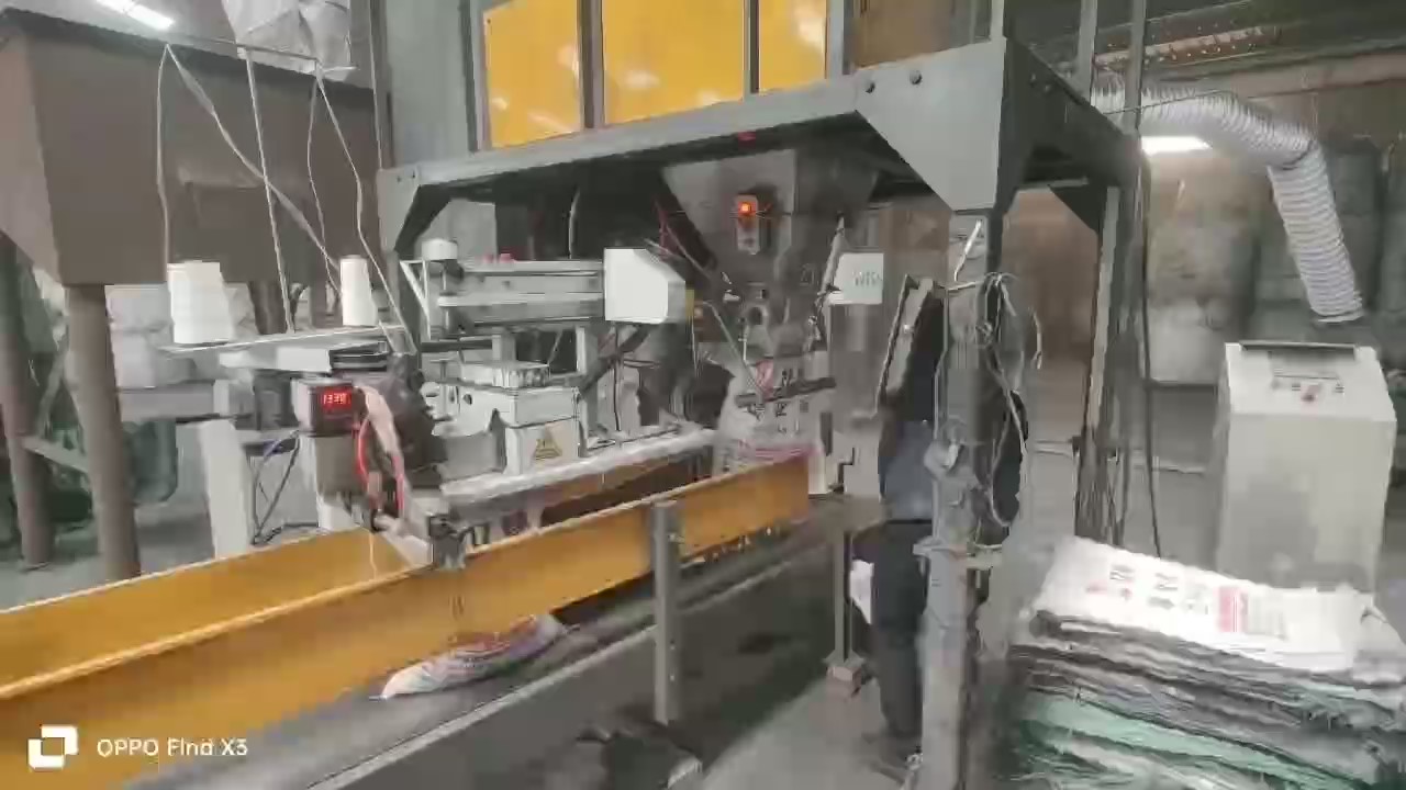 �͑��F��11